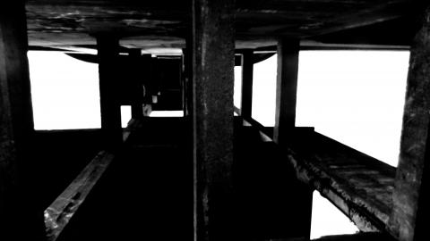 First visit - DSCN5928.jpg