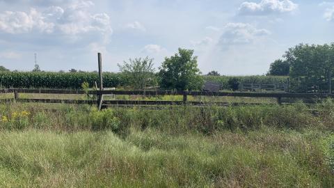 Shooting Practice - IMG_8529.JPG