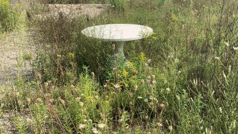 Shooting Practice - IMG_8531.JPG