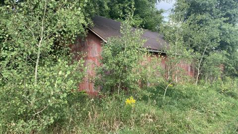 Storage - IMG_8264.JPG