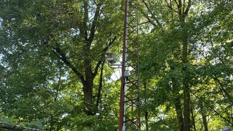 Cumis Abandoned Tennis Court - IMG_2855.JPG
