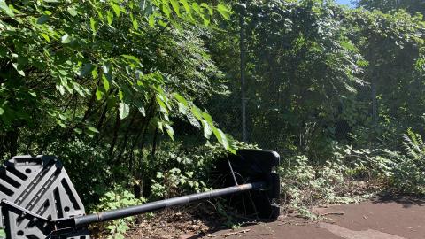 Cumis Abandoned Tennis Court - IMG_2858.JPG