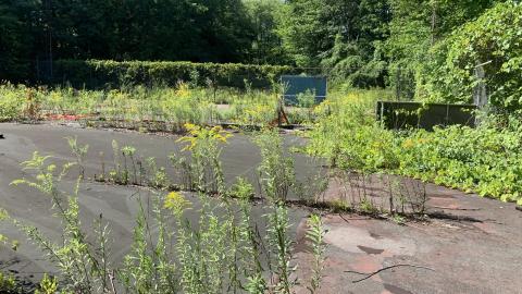 Cumis Abandoned Tennis Court photo 3