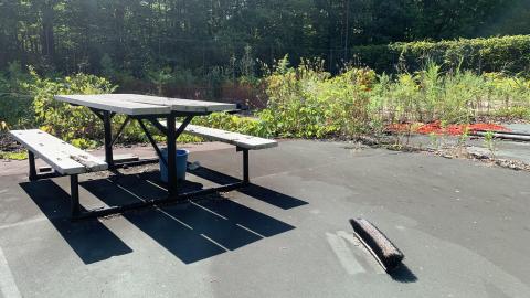 Cumis Abandoned Tennis Court - IMG_2862.JPG