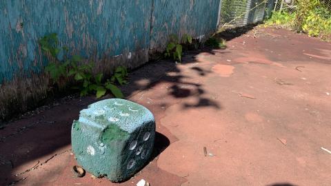 Cumis Abandoned Tennis Court - IMG_2865.JPG