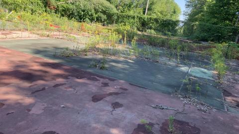 Cumis Abandoned Tennis Court - IMG_2867.JPG
