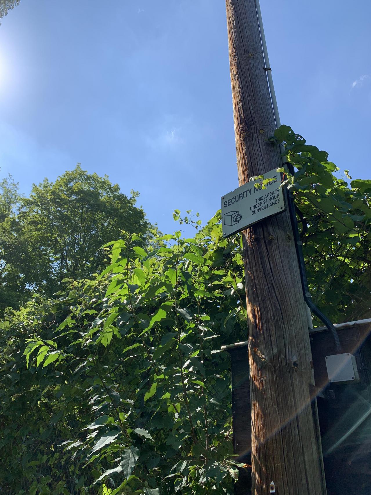 Cumis Abandoned Tennis Court - ok i pull up how bout at the after party.JPG