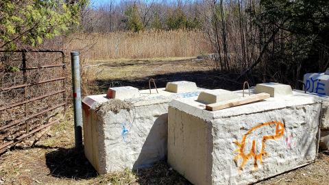 Photo from April 2021