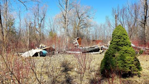 Photo from April 2021