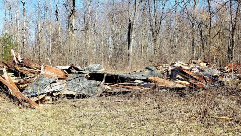 Photo from April 2021