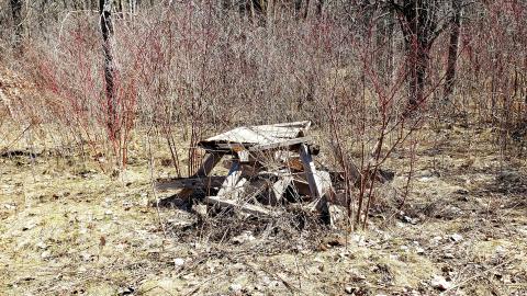 April 2021 - 20210402_212603.jpg