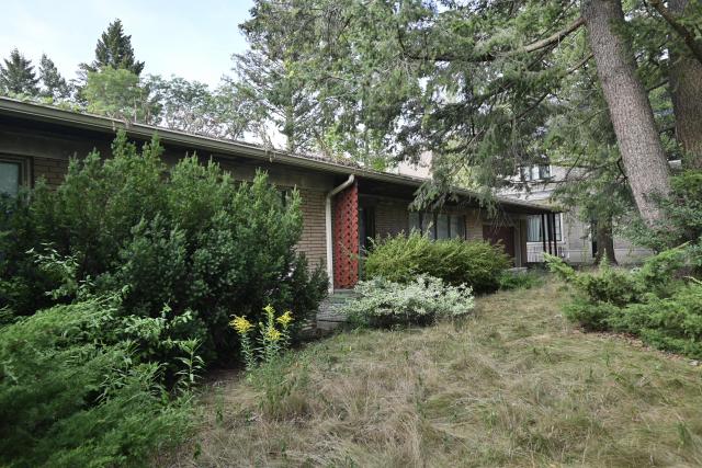 Exteriors - _DSC4294.JPG