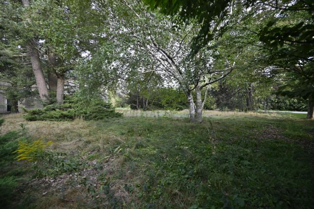 Exteriors - _DSC4291.JPG