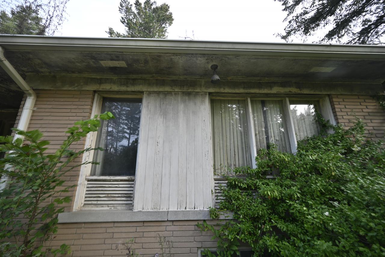 Exteriors - _DSC4285.JPG