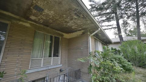 Exteriors - _DSC4273.JPG