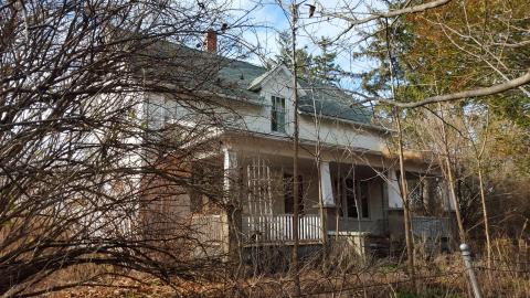 3 Visits - July / November 2015 / September 2016 - 1.jpg