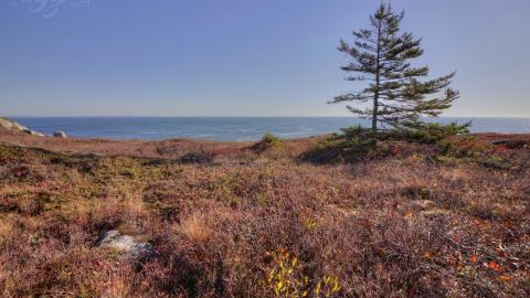 October 2019 - Collages13.jpg