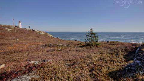 October 2019 - Collages14.jpg