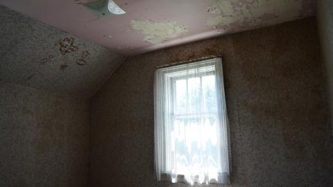 3 Visits - July / November 2015 / September 2016 - 23.jpg