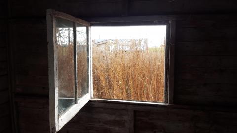 3 Visits - July / November 2015 / September 2016 - 36.jpg