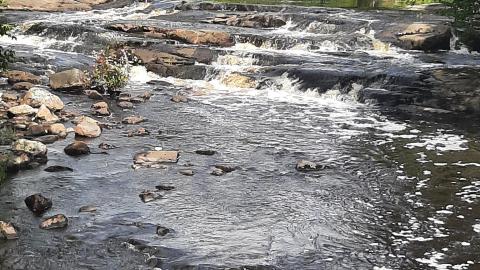 Upper Rosseau Falls - 20210830_145252.jpg
