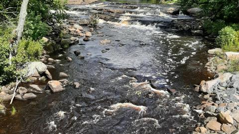 Upper Rosseau Falls - 20210830_145249.jpg