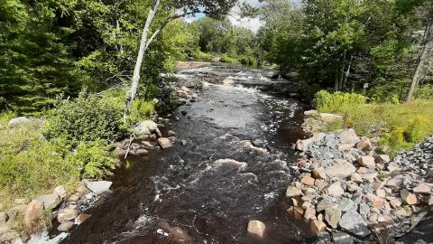 Upper Rosseau Falls - 20210830_145245.jpg