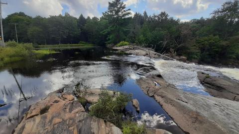 Upper Rosseau Falls - 20210830_145002.jpg