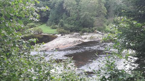 Upper Rosseau Falls - 20210830_144616.jpg
