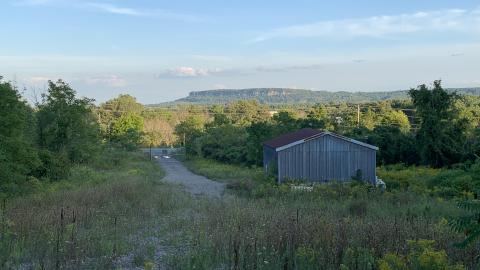 Dirt Jumps And Bando August 2021 - IMG_2891.JPG