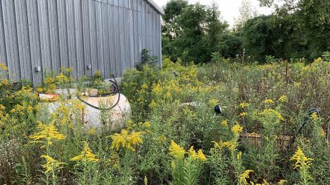 Dirt Jumps and Bando - Milton, Ontario