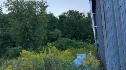 Dirt Jumps And Bando August 2021 - IMG_2898.JPG