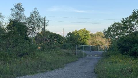 Dirt Jumps And Bando August 2021 - IMG_2899.JPG