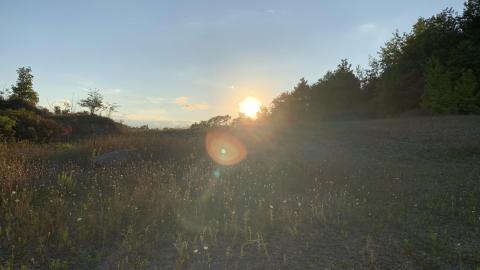 Dirt Jumps And Bando August 2021 - IMG_2902.JPG