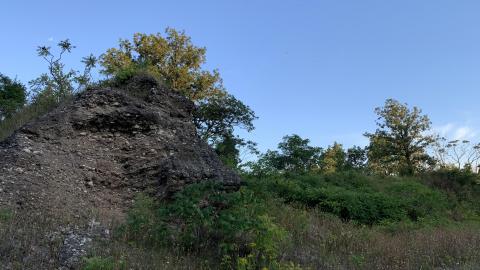 Dirt Jumps And Bando August 2021 - IMG_2903.JPG