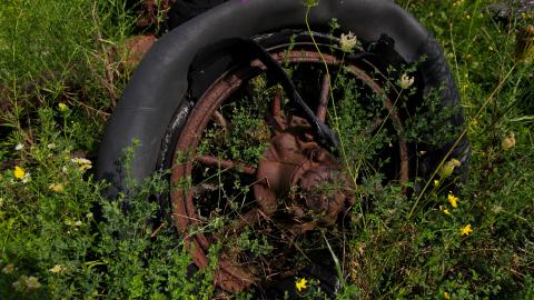 Nothing QUITE Like It 'Round These Parts - IMG_5520.JPG