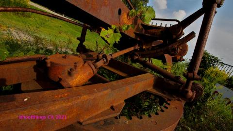 Nothing QUITE Like It 'Round These Parts - IMG_5523.JPG