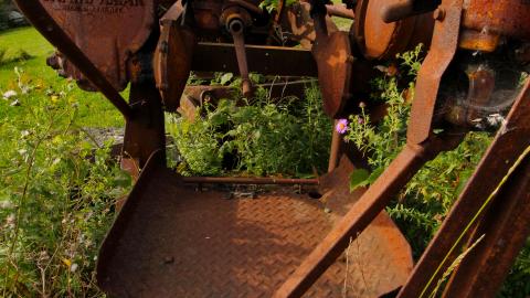 Nothing QUITE Like It 'Round These Parts - IMG_5530.JPG