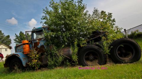 Nothing QUITE Like It 'Round These Parts - IMG_5533.JPG