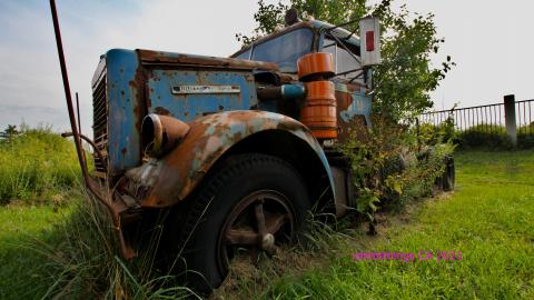 Nothing QUITE Like It 'Round These Parts - IMG_5534.JPG