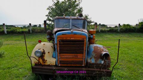 Nothing QUITE Like It 'Round These Parts - IMG_5537.JPG