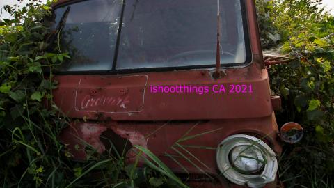 Nothing QUITE Like It 'Round These Parts - IMG_5551.JPG