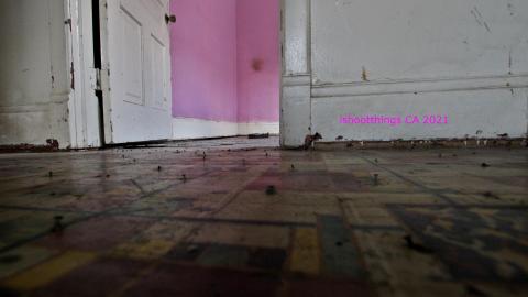 How NOT To Secure A House - IMG_5573.JPG