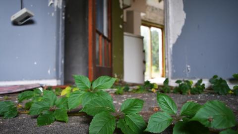 Currie Home - September 2015 - 7.5.jpg