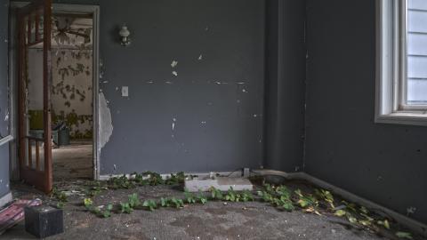 Currie Home - September 2015 - 7.6.jpg