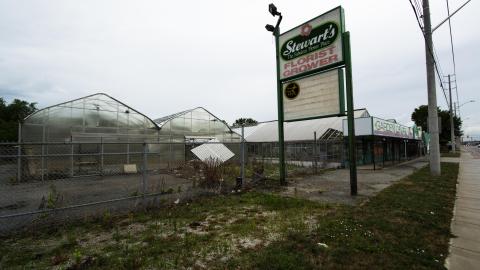 Flower Power - June 2016 - 1.jpg