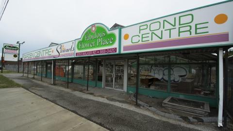 Flower Power - June 2016 - 2.jpg