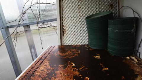 Flower Power - June 2016 - 5.jpg