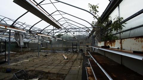 Flower Power - June 2016 - 6.jpg