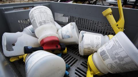 Flower Power - June 2016 - 7.jpg